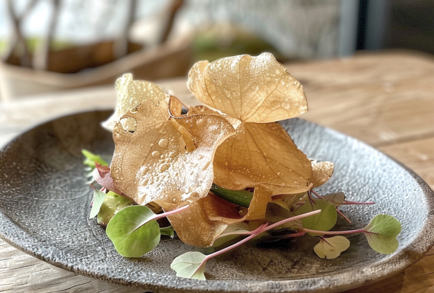 Assiette artistique contenant une salade de jeunes pousses et légumes fins, surmontée de chips translucides ressemblant à des feuilles, servie sur une assiette en céramique grise, illustrant une approche moderne de la cuisine végétale.