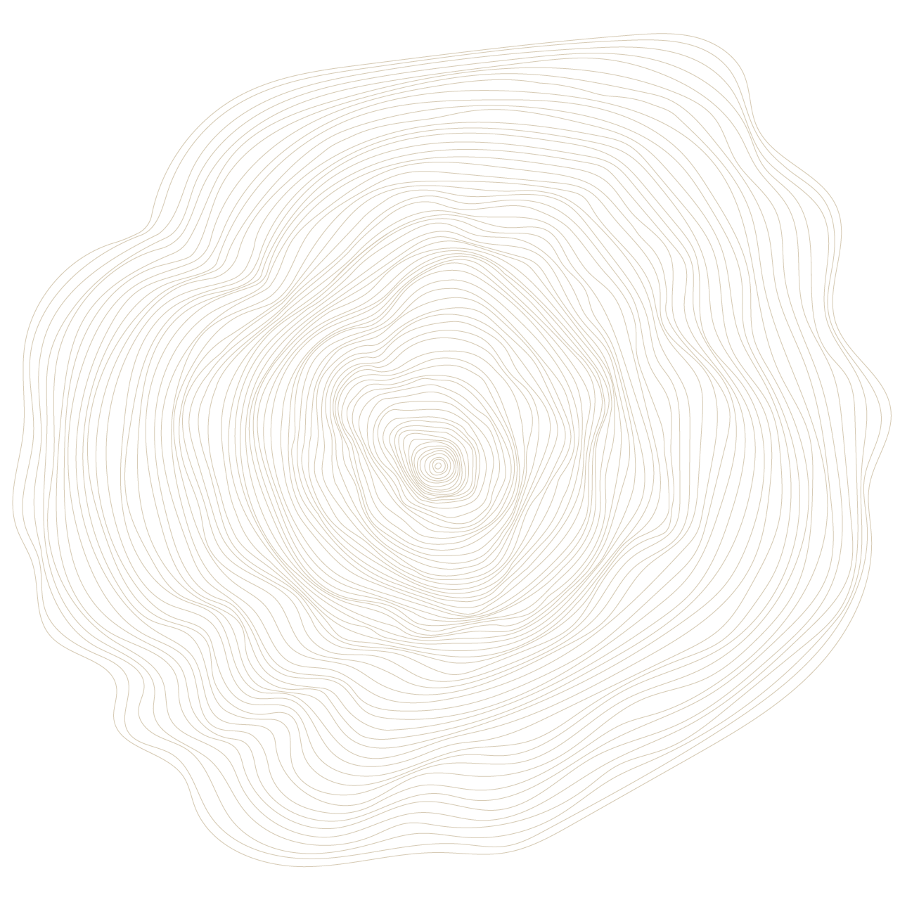 Un design similaire en noir montrant des lignes continues en forme de spirale qui représentent une coupe transversale de tronc d'arbre, mettant en évidence la structure naturelle et les anneaux d'âge de l'arbre.