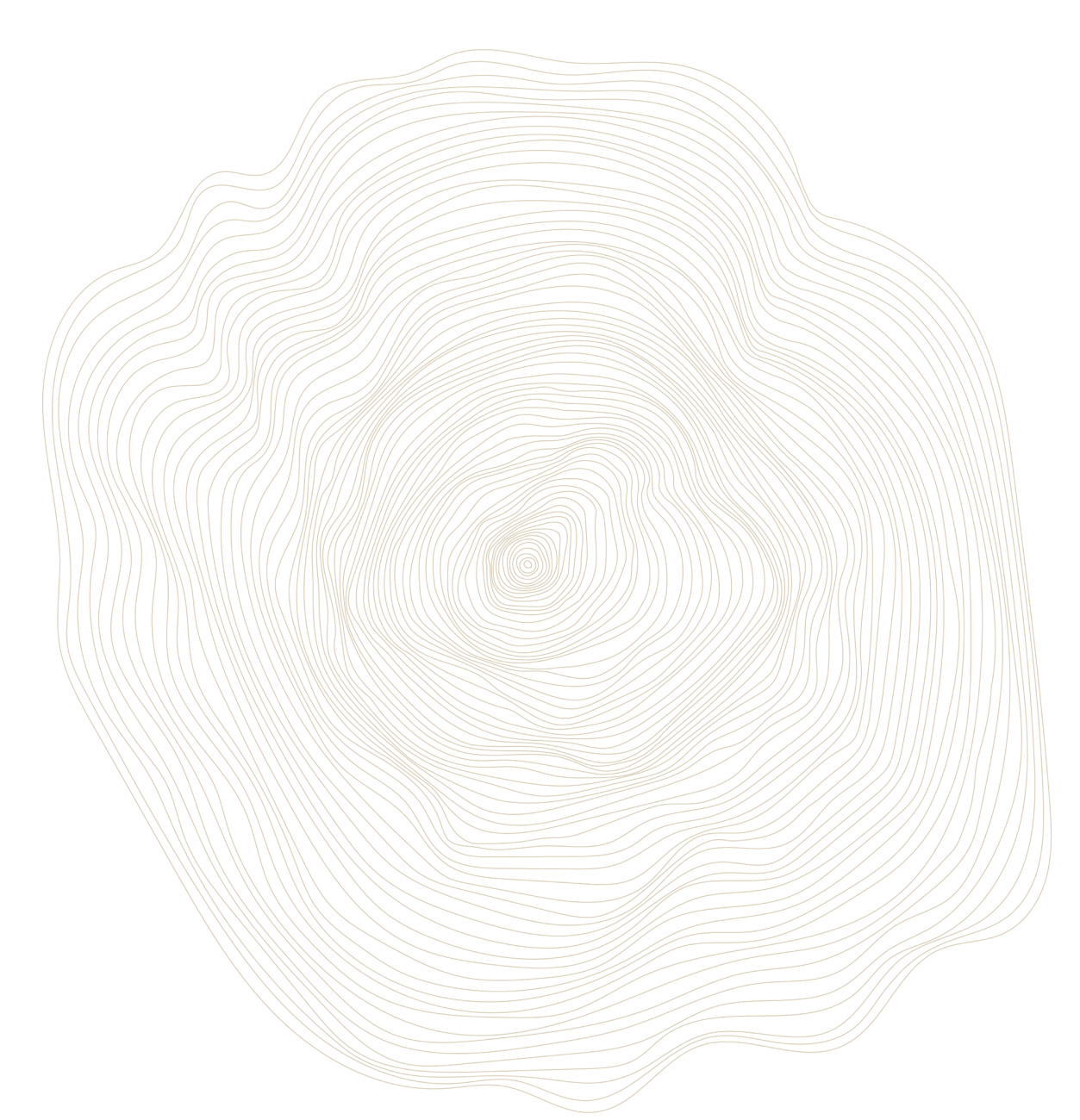 Un design similaire en noir montrant des lignes continues en forme de spirale qui représentent une coupe transversale de tronc d'arbre, mettant en évidence la structure naturelle et les anneaux d'âge de l'arbre.