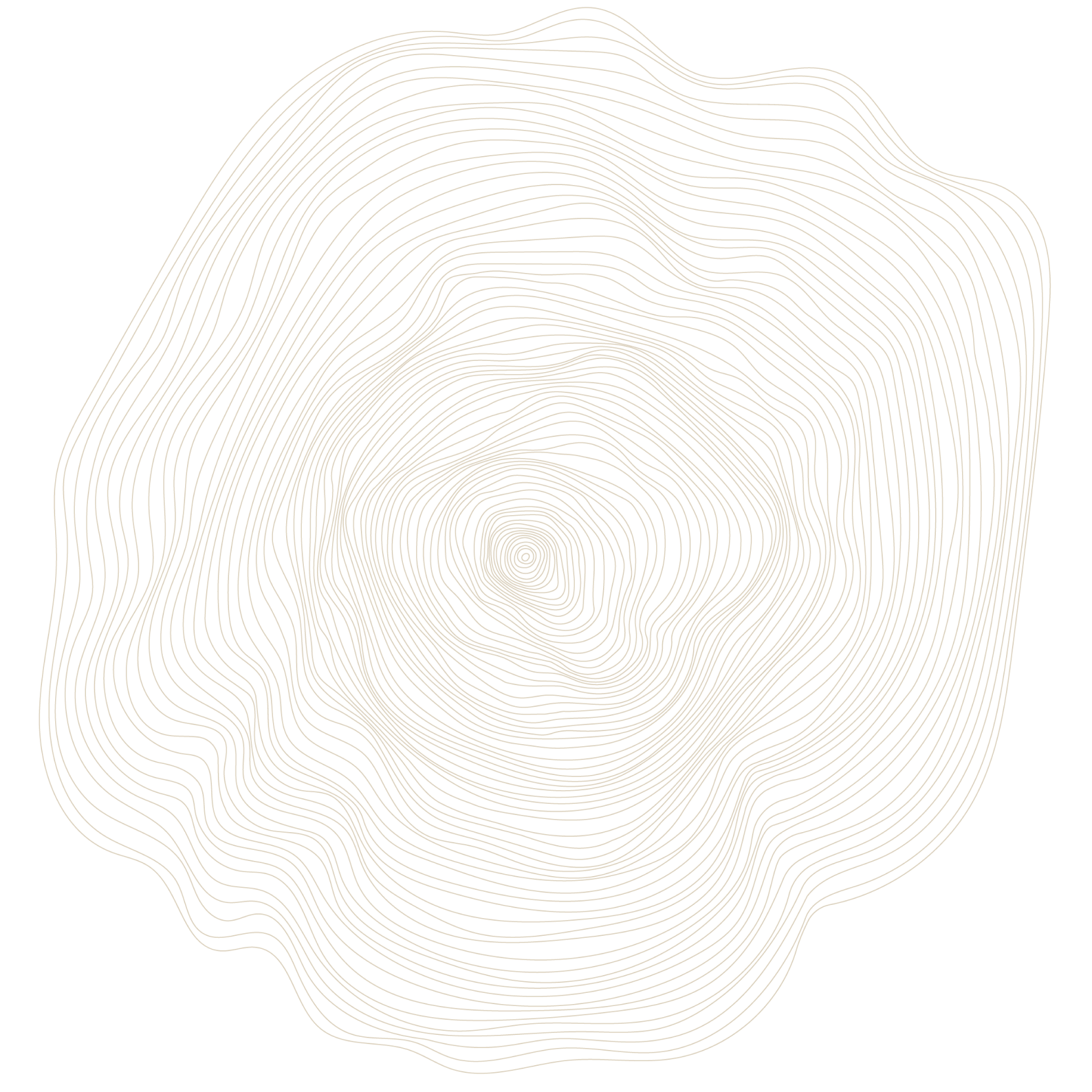 Un design noir avec des lignes courbes et continues formant un motif en coupe transversale de tronc d'arbre, offrant une représentation détaillée et artistique de la structure interne d'un arbre.