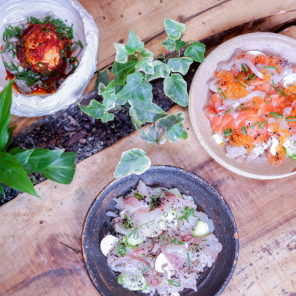 Trois bols de chirashi présentant un assortiment de sashimi et condiments colorés, servis sur une table en bois rustique avec des décorations de plantes vertes, offrant une variété de saveurs traditionnelles japonaises.