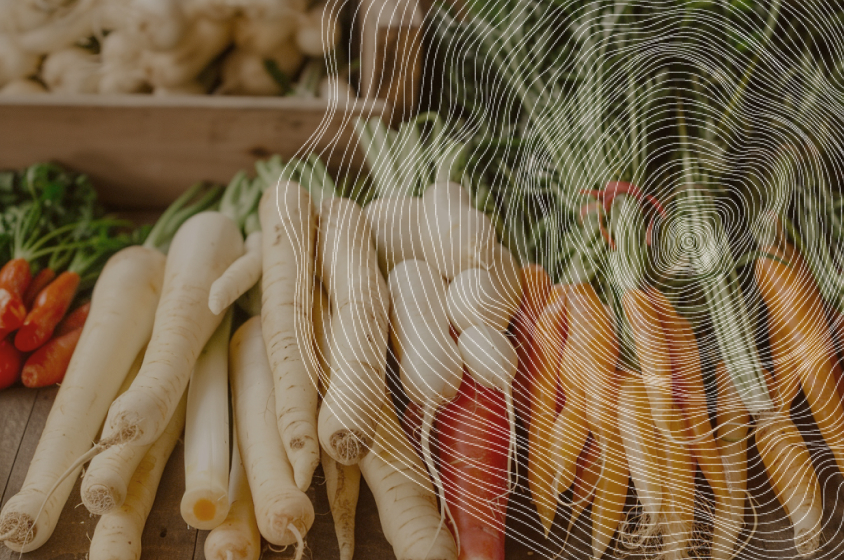 Assortiment de légumes racines frais sur un étal de marché : carottes, panais et radis blancs.