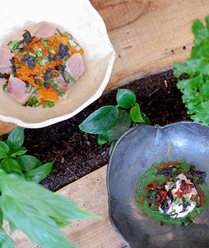 Sur une table en bois, deux bols en céramique sont entourés de plantes vertes. Le bol blanc contient des tranches de thon cru, des œufs de poisson orange et des légumes verts. Le bol noir contient une sauce verte, une touche de crème blanche et une garniture de légumes verts.