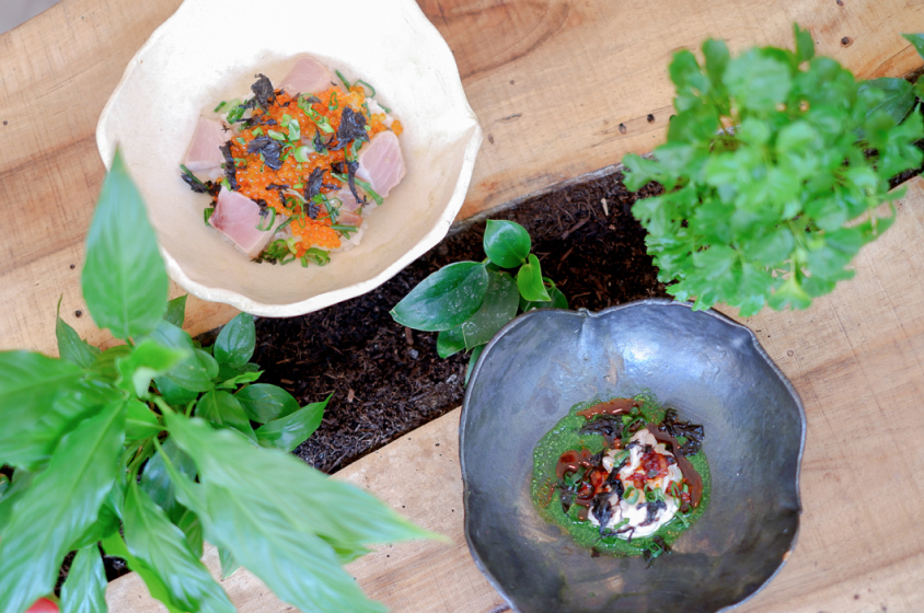 Sur une table en bois, deux bols en céramique sont entourés de plantes vertes. Le bol blanc contient des tranches de thon cru, des œufs de poisson orange et des légumes verts. Le bol noir contient une sauce verte, une touche de crème blanche et une garniture de légumes verts.